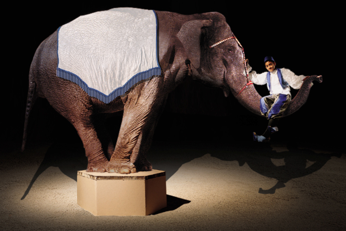 Honicore Olifant Web Honicore Olifant Web